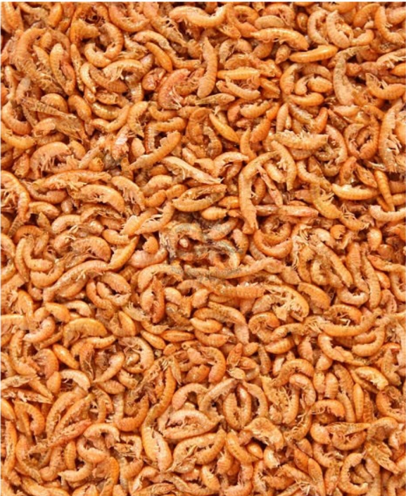 Gammarus sušený 1liter sáčok